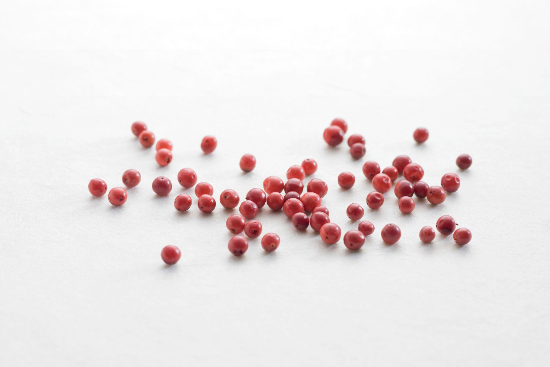 Rosa Pfefferbeeren vor weißem Hintergrund