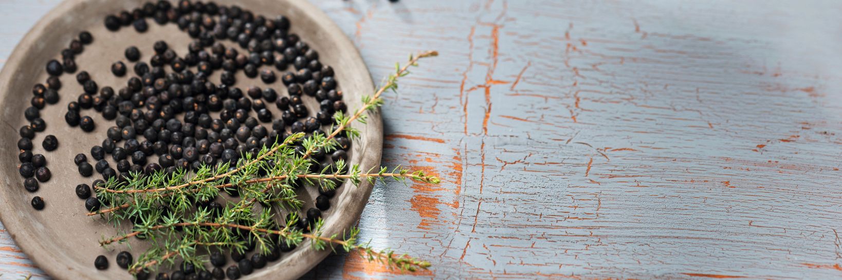 Wacholderbeeren auf einem grauen Teller mit frischen Wacholderzweigen