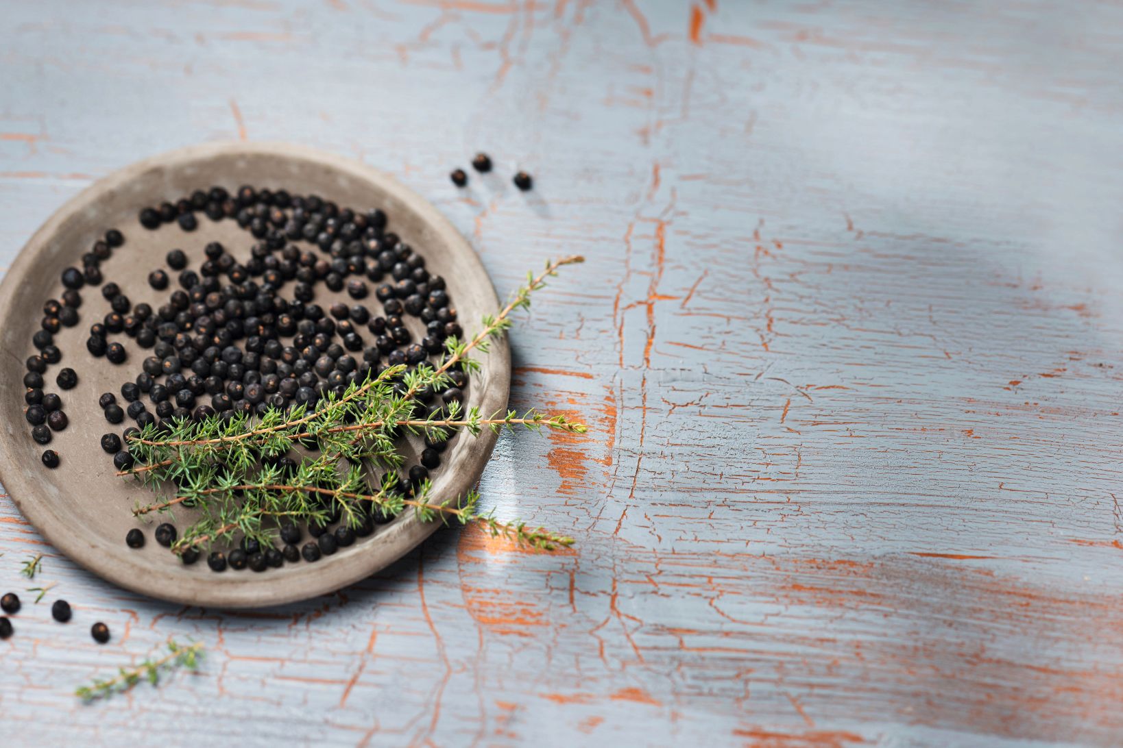 Wacholderbeeren auf einem grauen Teller mit frischen Wacholderzweigen