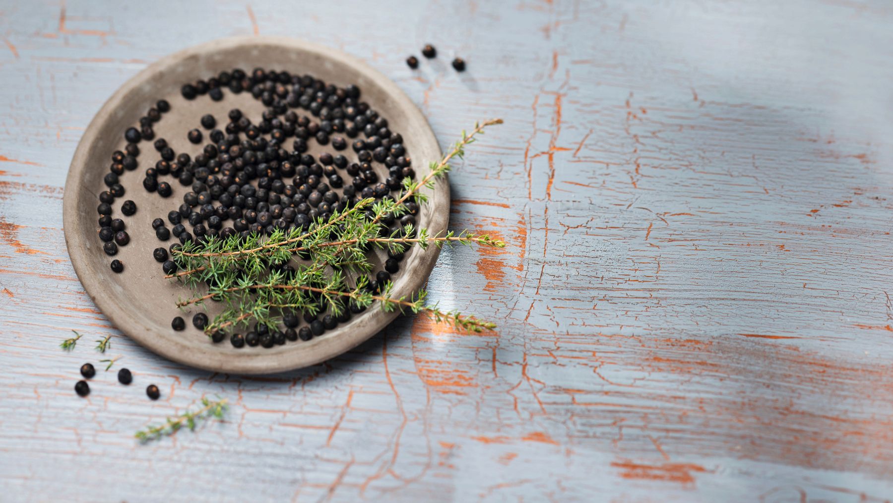 Wacholderbeeren auf einem grauen Teller mit frischen Wacholderzweigen