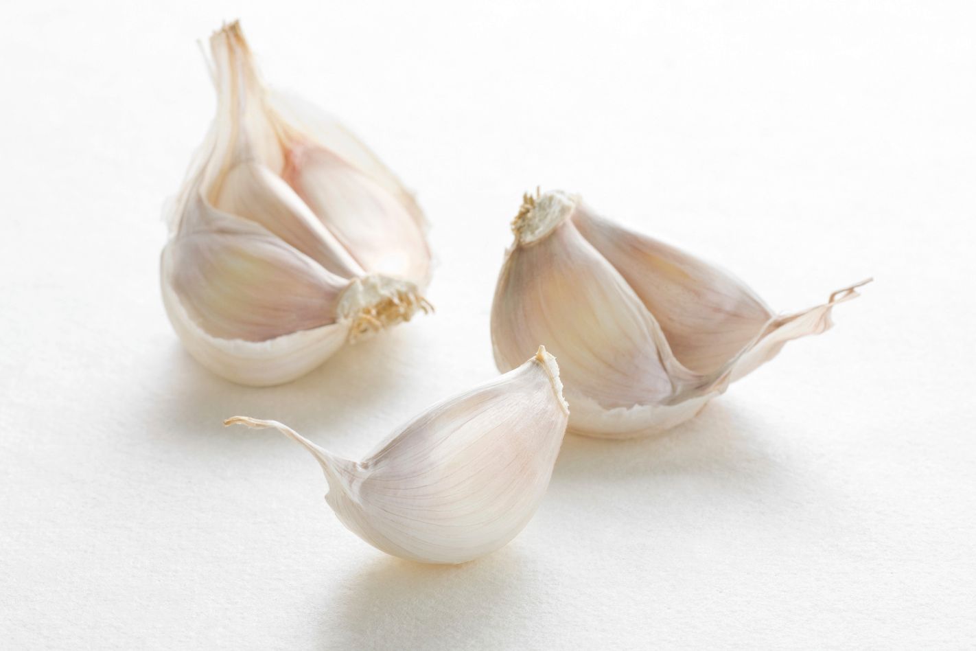 Knoblauchzehen und eine aufgeschnittene Knoblauchknolle vor weißem Hintergrund