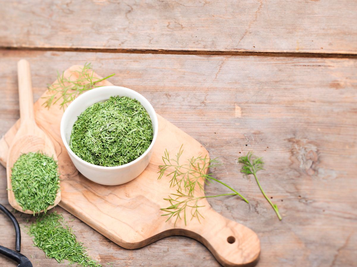 Getrockneter Dill in einer weißen Schale und auf einem Holzlöffel
