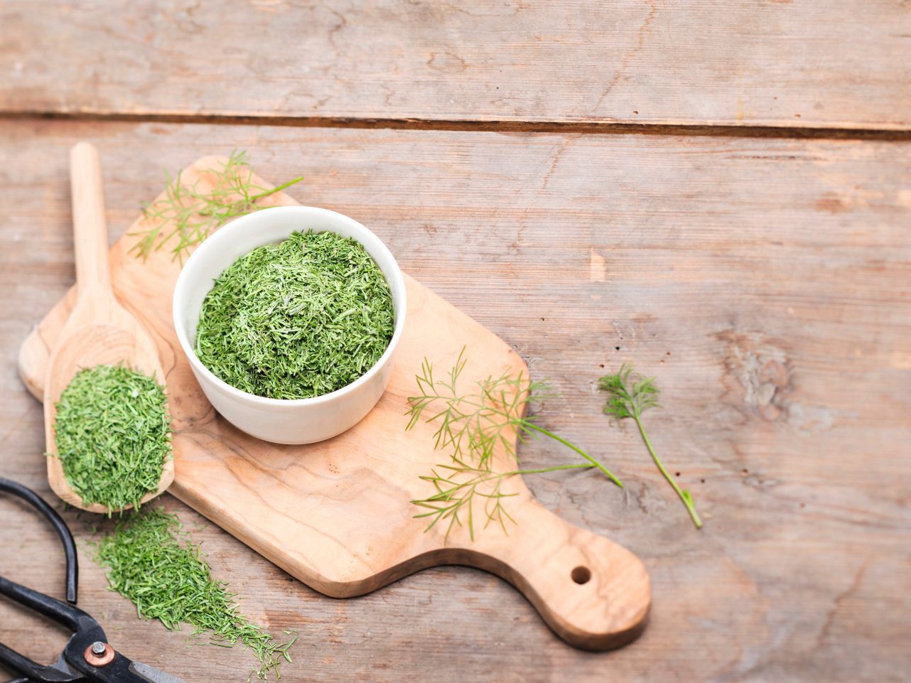 Getrockneter Dill in einer weißen Schale und auf einem Holzlöffel