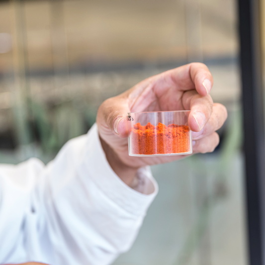 Hand eines Mitarbeiters im weißen Laborkittel hält ein transparentes Probengefäß mit rotem Gewürzpulver im Labor in Freilassing – Symbolbild für das WIBERG Qualitätsversprechen und Produktanalyse.