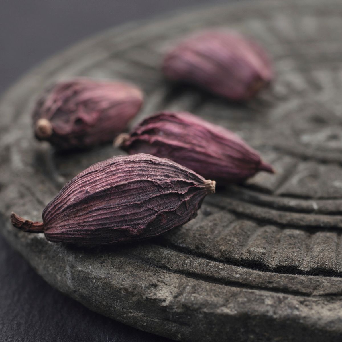 Violette Kardamomkapseln auf dunkler Holzfläche
