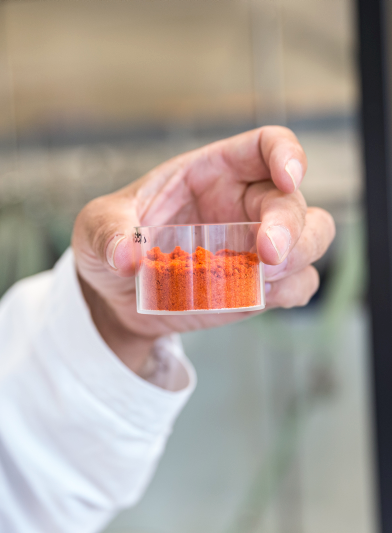 Hand eines Mitarbeiters im weißen Laborkittel hält ein transparentes Probengefäß mit rotem Gewürzpulver im Labor in Freilassing – Symbolbild für das WIBERG Qualitätsversprechen und Produktanalyse.