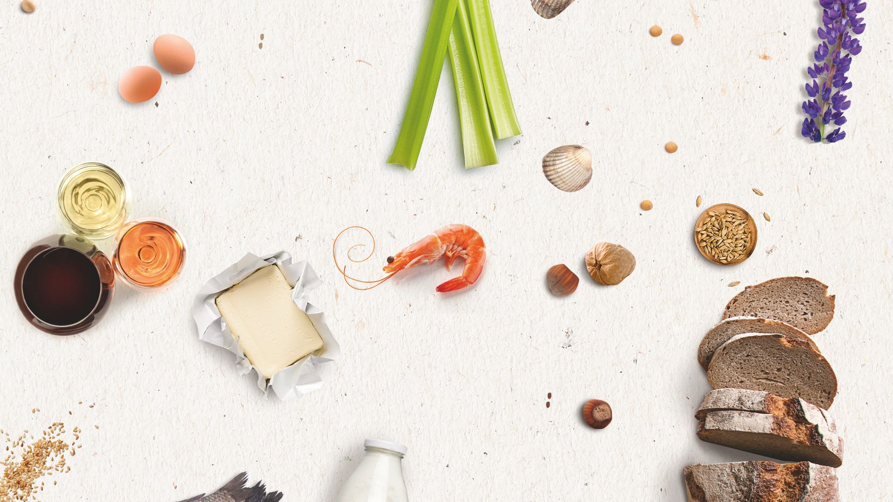 Symbolbild der 14 EU‑Hauptallergene auf hellem Hintergrund: glutenhaltiges Getreide, Krebstiere, Eier, Fisch, Erdnüsse, Sojabohnen, Milch, Schalenfrüchte, Sellerie, Senf, Sesamsamen, Schwefeldioxid/Sulfite, Lupinen und Weichtiere.