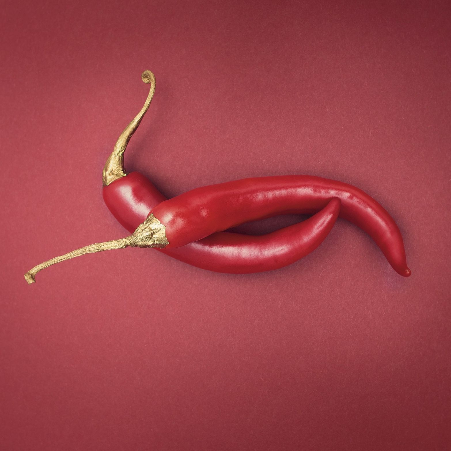 Von oben fotografierte zwei rote Chilischoten auf einem dunkelroten Hintergrund. Die Stiele der Chilischoten sind golden eingefärbt und sorgen für einen stimmungsvollen Farbkontrast.