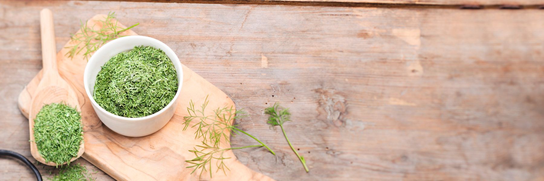 Getrockneter Dill in einer weißen Schale und auf einem Holzlöffel